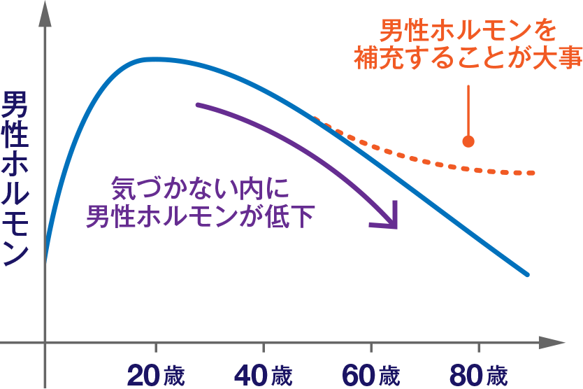 男性ホルモン（テストステロン）の年齢による低下を表したグラフ